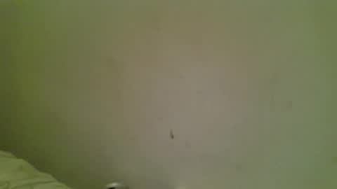 Bottmboitwink online show from 10-18-25, 06:16