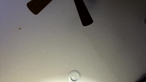 Slickdog online show from 01-30-25, 06:03