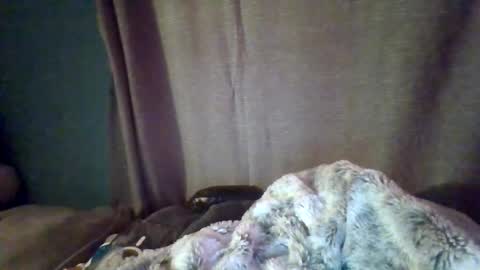 slittiekittie online show from 03-01-26, 07:32