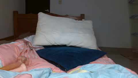 Snapshot of smallbrenda21 chatting on 10-20-25, 04:51 brenda online show from 10-20-25, 04:51