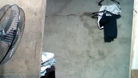 jess online show from 12-01-24, 07:47