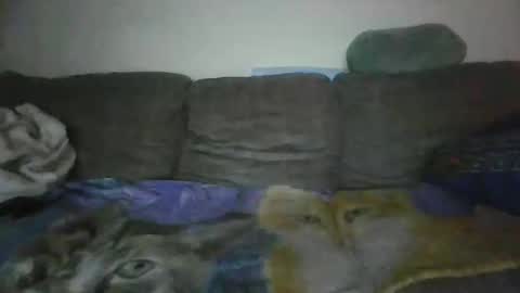 smaug6606 online show from 11-24-25, 06:46