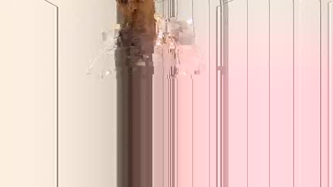 smilehiguy online show from 01-03-25, 04:33