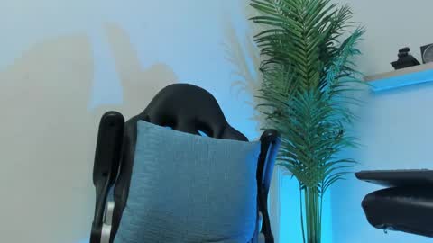 SMIT  online show from 12-07-24, 09:39