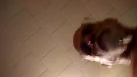 Smithology online show from 12-19-24, 01:18