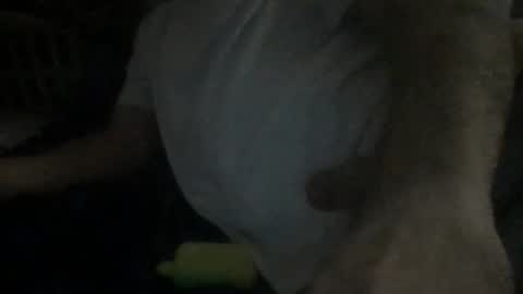 smokenfuk23 online show from 11-30-25, 01:53