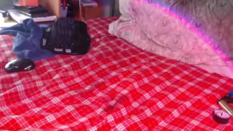 Snail online show from 02-17-26, 02:35