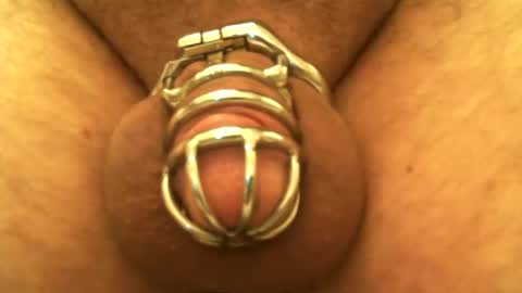 Snapshot of snakepit31 chatting on 12-24-24, 10:06 Sissy Boy online show from 12-24-24, 10:06