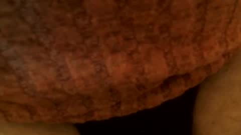 Snapshot of snakepit31 chatting on 03-02-25, 06:51 Sissy Boy online show from 03-02-25, 06:51