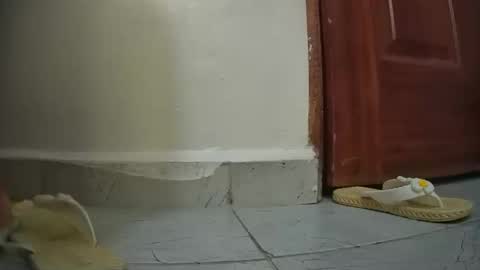 snowbell91 online show from 01-27-25, 08:29