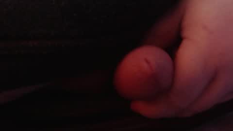 Tom online show from 01-26-25, 01:47