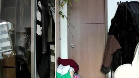 soff_honey online show from 02-23-25, 09:26