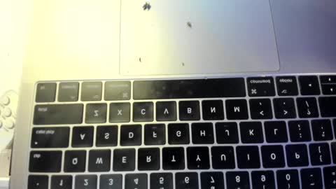 soff_honey online show from 02-24-25, 12:30