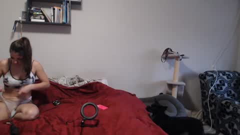 Sofi online show from 12-12-24, 11:29