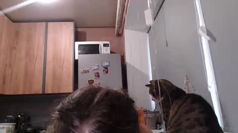 Sofi online show from 01-07-26, 12:51