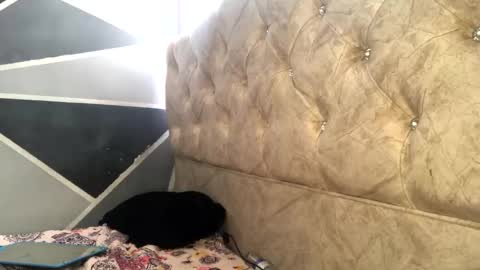 Sofia Jimenez online show from 11-04-25, 06:18