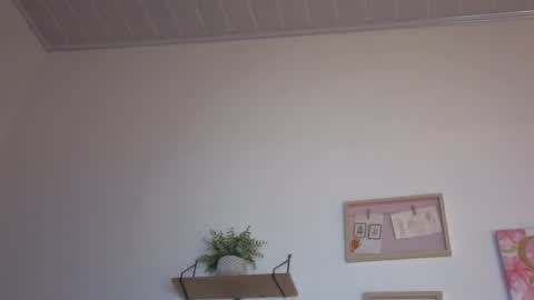     online show from 11-15-25, 03:48