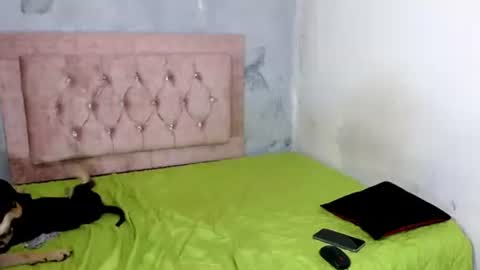 Snapshot of sofiadoll77 chatting on 02-08-25, 09:03 sofiadoll77 online show from 02-08-25, 09:03