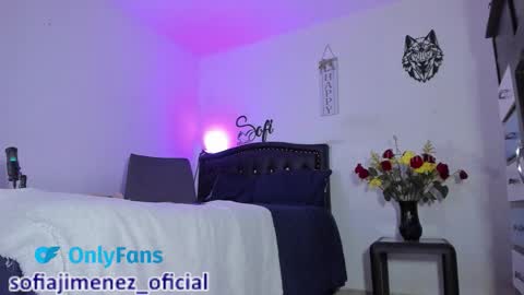 Snapshot of sofiajimenez_ chatting on 02-17-26, 01:13 Sofia Jimenez online show from 02-17-26, 01:13