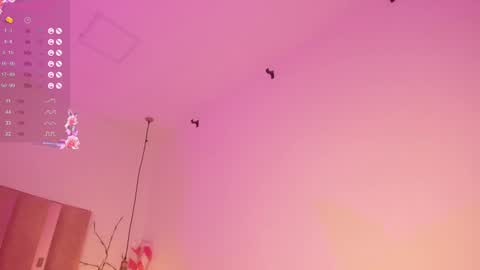 Sofie online show from 12-27-24, 07:57