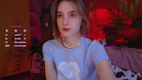 Snapshot of soft_animal chatting on 11-25-25, 09:09 E online show from 11-25-25, 09:09