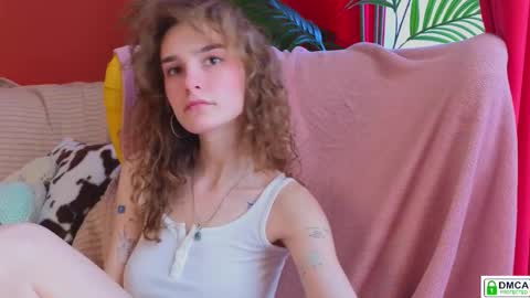 Snapshot of soft_animal chatting on 02-25-26, 08:46 E online show from 02-25-26, 08:46