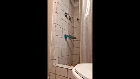 sologirl81 online show from 02-06-26, 05:38