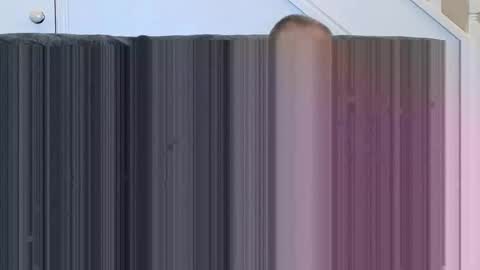 jeff online show from 11-15-25, 01:07