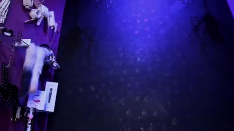 Alexa online show from 03-06-25, 01:48