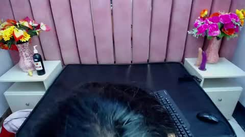 sophi_hardd online show from 12-13-24, 10:13