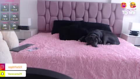 Sophia Carson online show from 01-01-25, 05:11