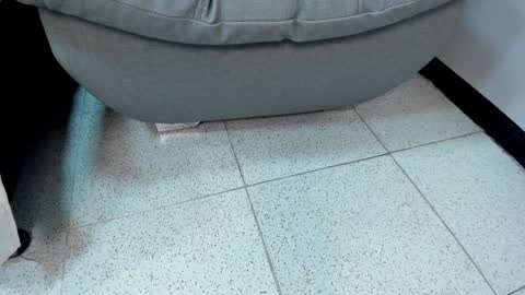 sophieharris__ online show from 01-23-25, 11:36