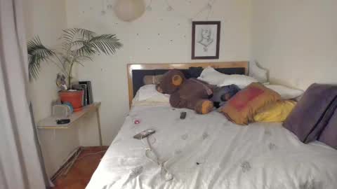 SofiTrans21 online show from 11-24-25, 11:04