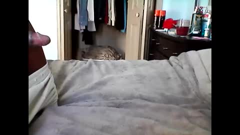 Snapshot of soulzen666 chatting on 12-04-25, 09:01 Soul online show from 12-04-25, 09:01