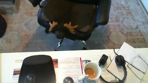 SOUTHERNBONES online show from 09-29-25, 03:06