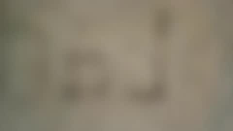 Snapshot of soveryhandsome chatting on 02-04-25, 07:33 soveryhandsome online show from 02-04-25, 07:33