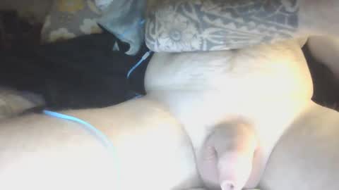 species online show from 01-29-25, 05:51