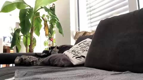 Snapshot of spritzer669 chatting on 12-13-24, 12:28 Spritzer669 online show from 12-13-24, 12:28