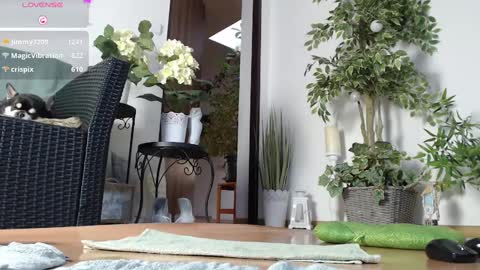 Monica online show from 01-01-25, 07:20