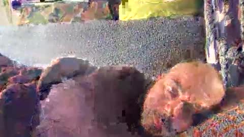 Snapshot of srekos38 chatting on 10-10-25, 12:37 srekos38 online show from 10-10-25, 12:37