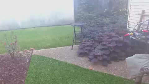 srtxshow online show from 10-16-25, 01:45