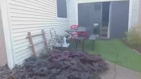 srtxshow online show from 10-20-25, 12:49