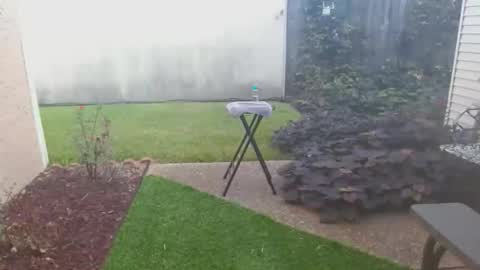 srtxshow online show from 10-21-25, 02:07