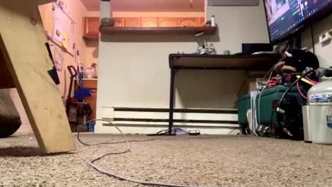 Submissive Slut LOVES adoration online show from 02-21-26, 04:41