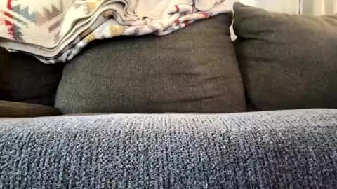 starr3095 online show from 11-04-25, 03:22