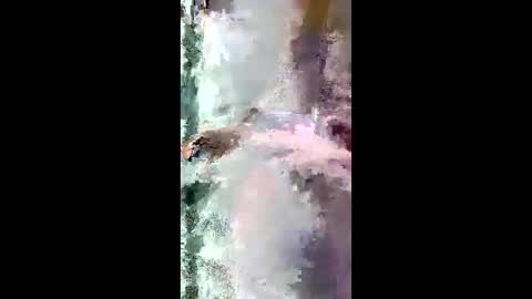 StarryWhispers online show from 03-28-26, 11:21