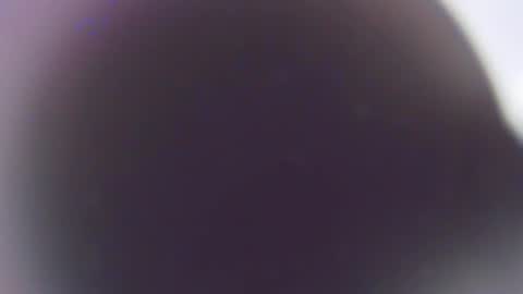 Snapshot of stefano_calle chatting on 12-03-25, 11:41 Stefano online show from 12-03-25, 11:41