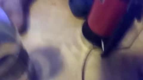 Snapshot of steinarskogmoen chatting on 10-19-25, 01:28 anube krato online show from 10-19-25, 01:28