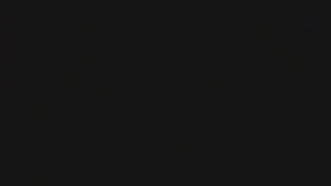 Steisha online show from 01-29-25, 09:33