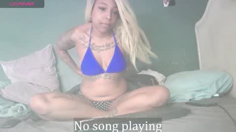 Stella Clitella online show from 01-17-26, 10:53